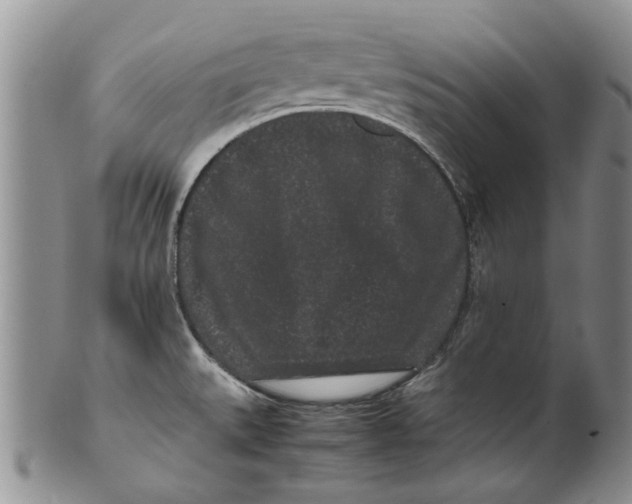 X0000099941527200806131414