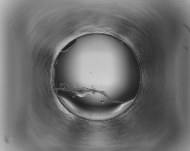 X0000099941528200806131414