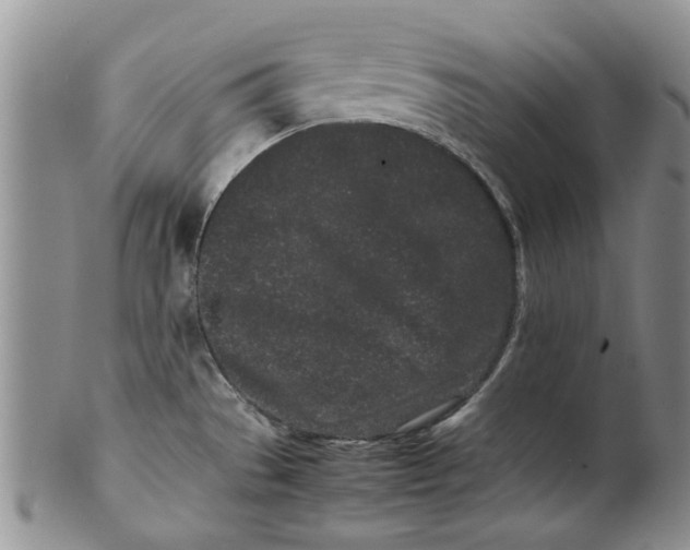 X0000099941529200806131414