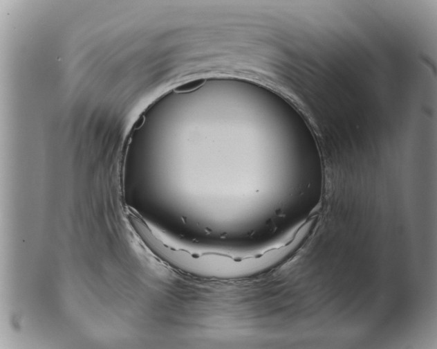 X0000099941530200806131414