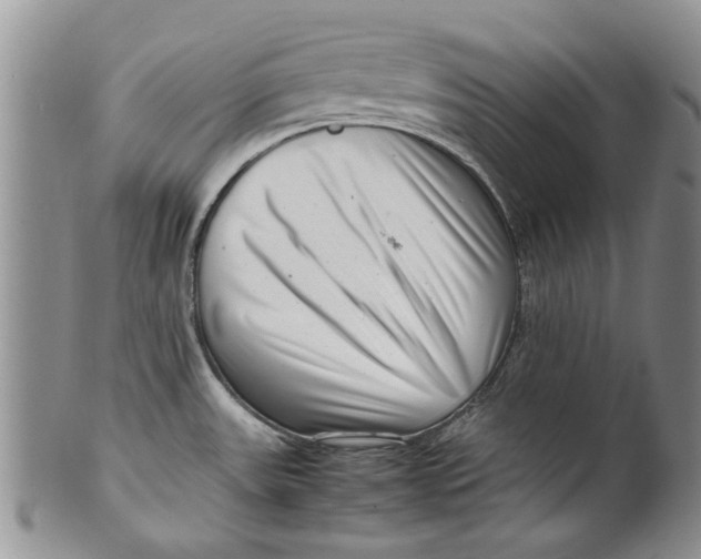 X0000099941531200806131414