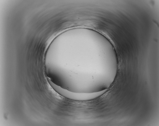 X0000099941532200806131414