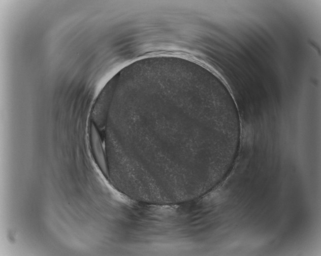 X0000099941533200806131414