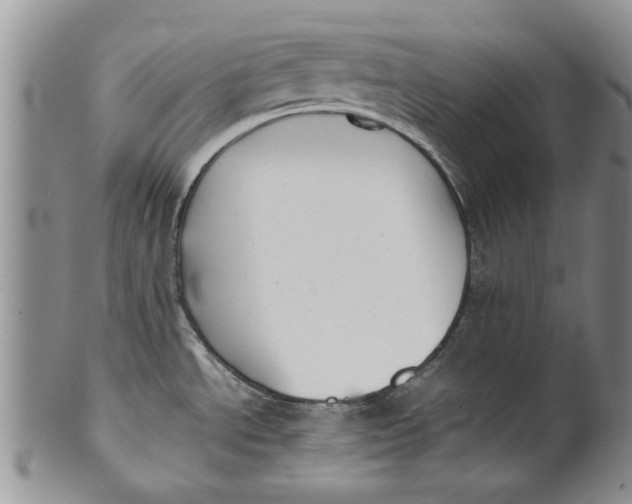 X0000099941534200806131414