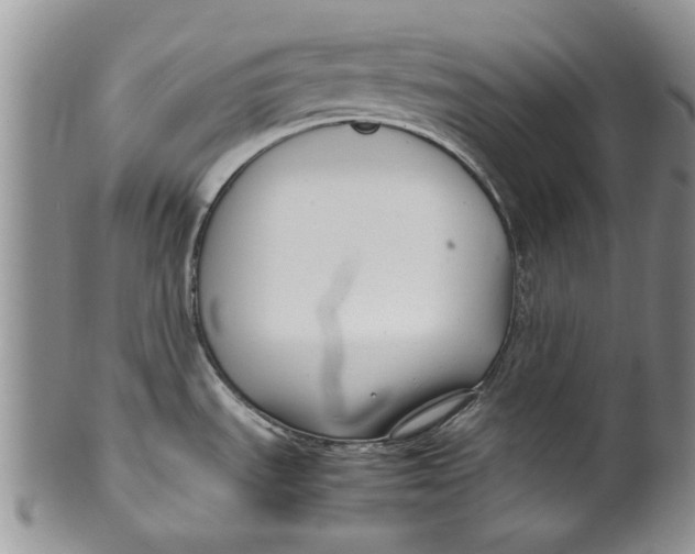 X0000099941535200806131414