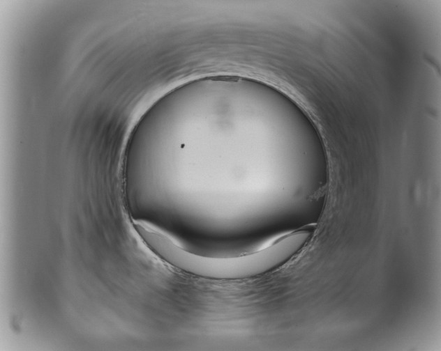 X0000099941536200806131414