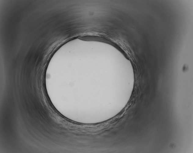 X0000099940001200806201131