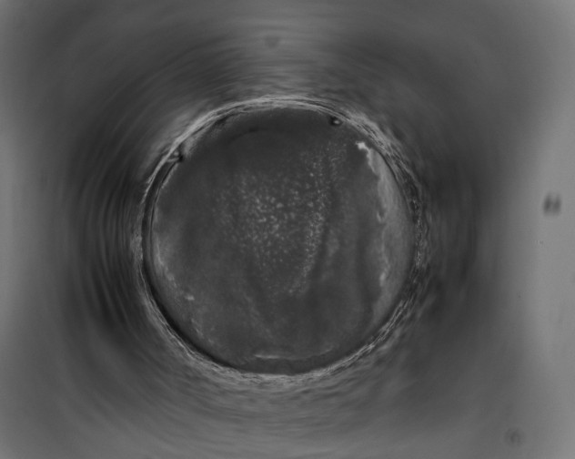 X0000099940002200806201131