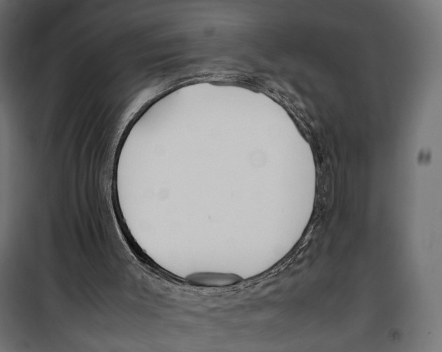 X0000099940003200806201131