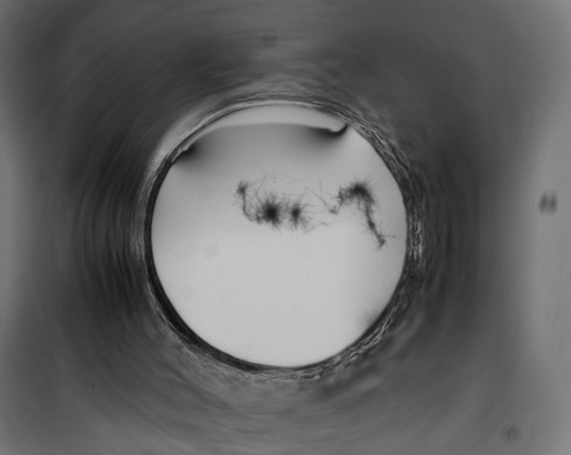X0000099940004200806201131