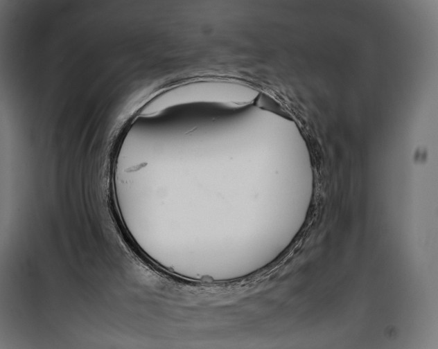 X0000099940005200806201131