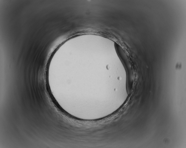 X0000099940006200806201131