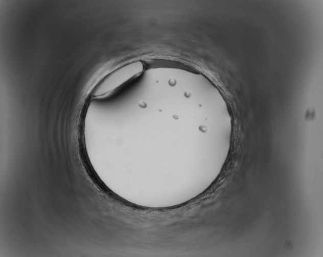 X0000099940007200806201131
