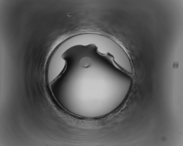 X0000099940008200806201131