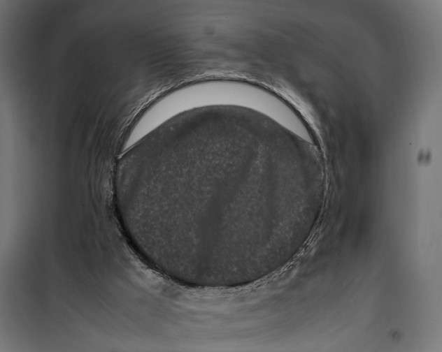 X0000099940009200806201131