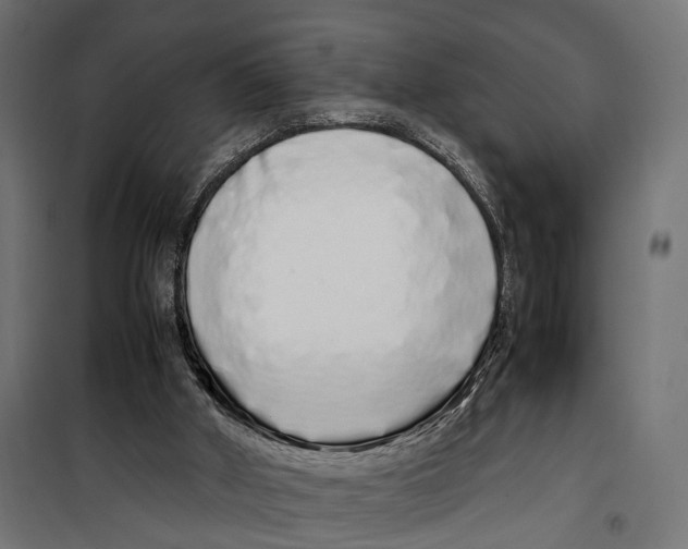 X0000099940010200806201131
