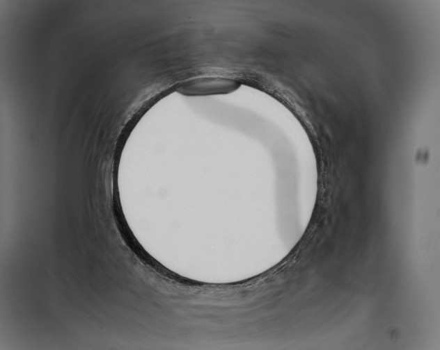 X0000099940011200806201131