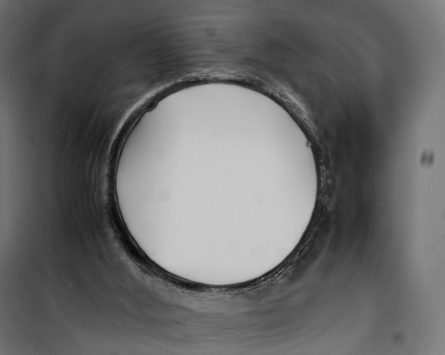 X0000099940012200806201131