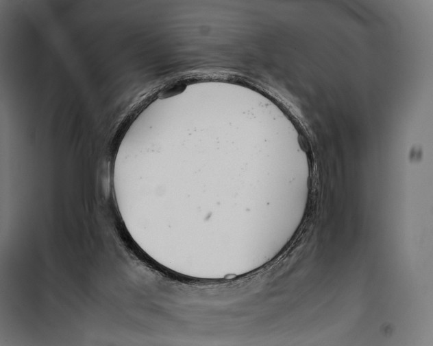 X0000099940013200806201131