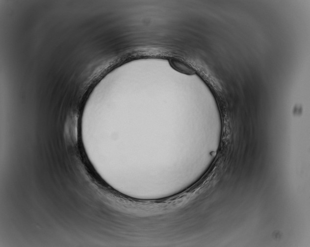 X0000099940014200806201131