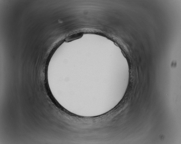 X0000099940015200806201131