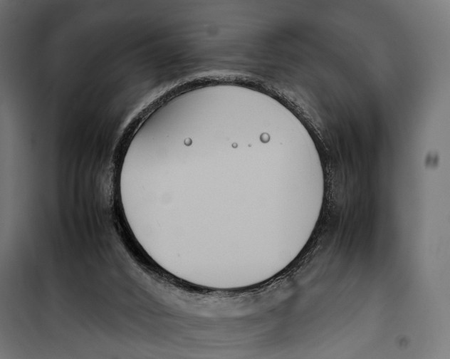 X0000099940016200806201131