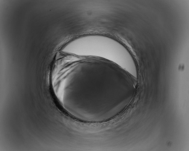 X0000099940019200806201131