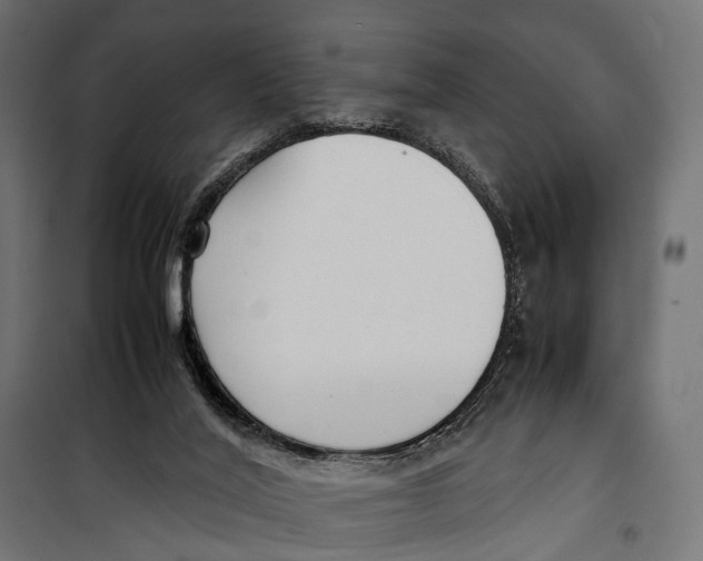 X0000099940020200806201131