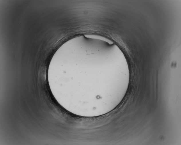 X0000099940021200806201131
