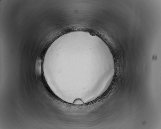 X0000099940022200806201131