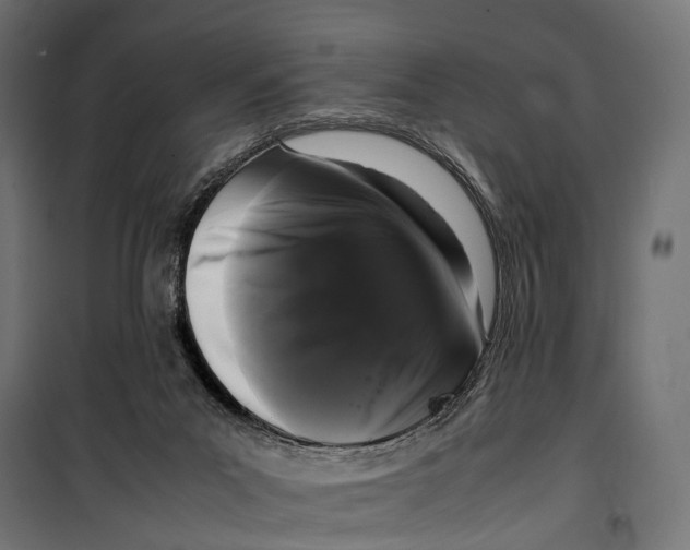 X0000099940023200806201131