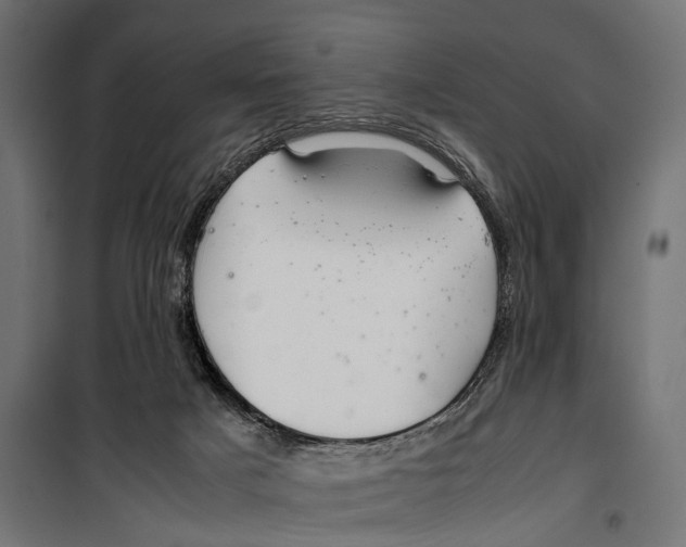 X0000099940025200806201131