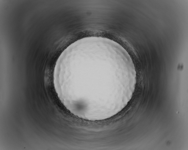 X0000099940026200806201131