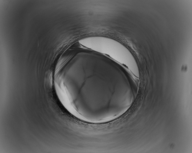 X0000099940027200806201131