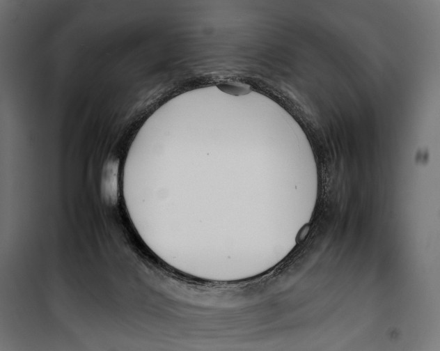 X0000099940028200806201131