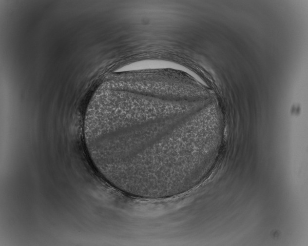 X0000099940029200806201131