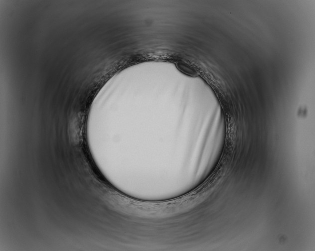 X0000099940030200806201131