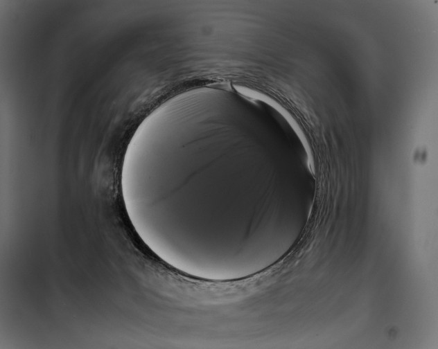 X0000099940031200806201131