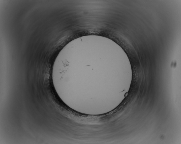 X0000099940032200806201131