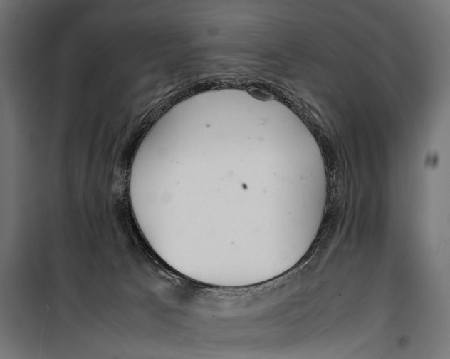 X0000099940033200806201131