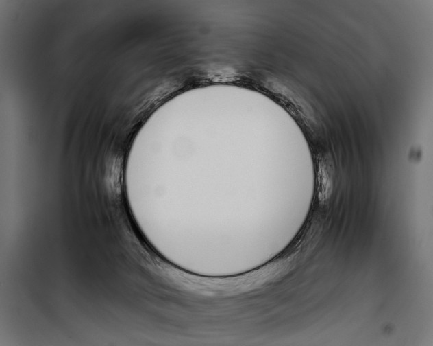 X0000099940034200806201131