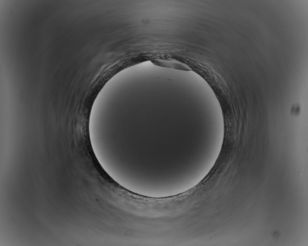X0000099940035200806201131