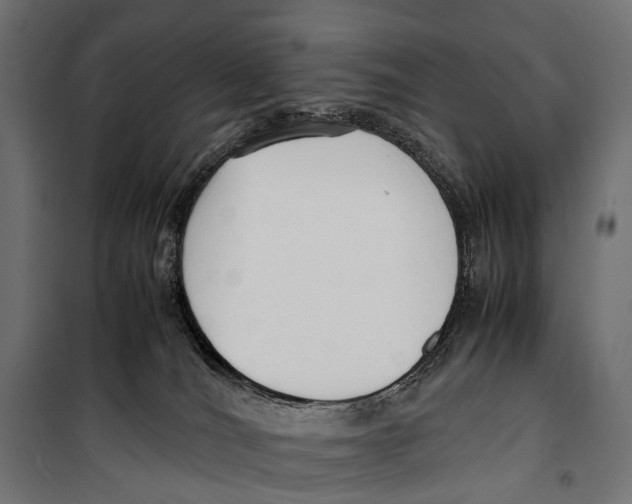 X0000099940036200806201131