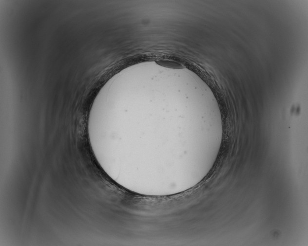X0000099940037200806201131