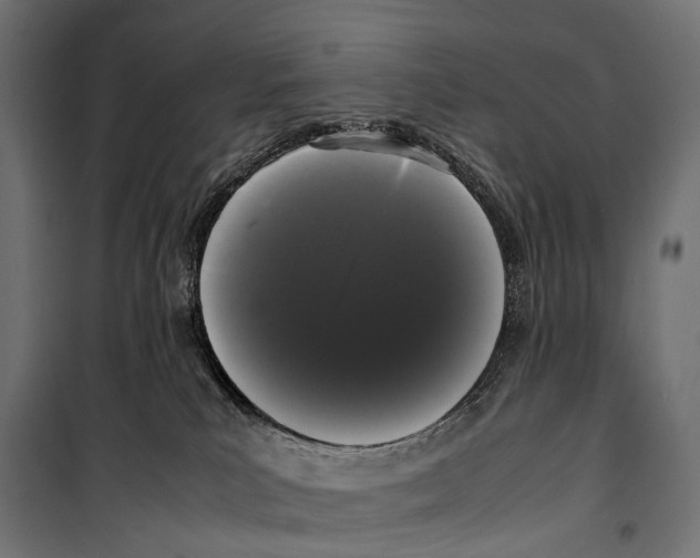 X0000099940039200806201131