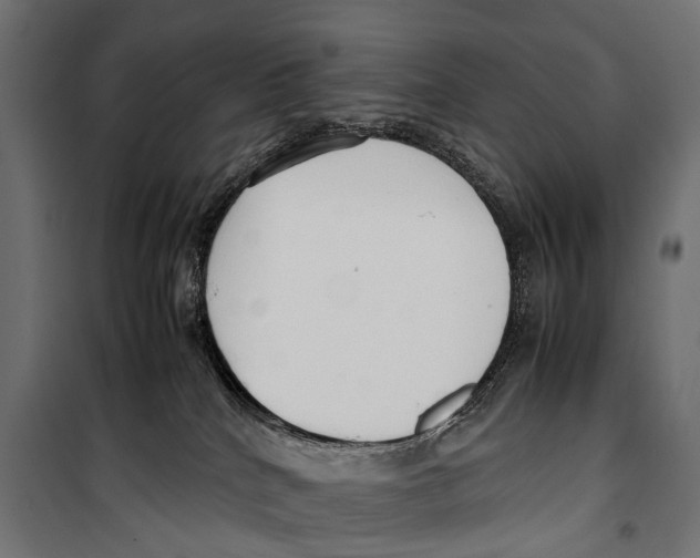 X0000099940040200806201131