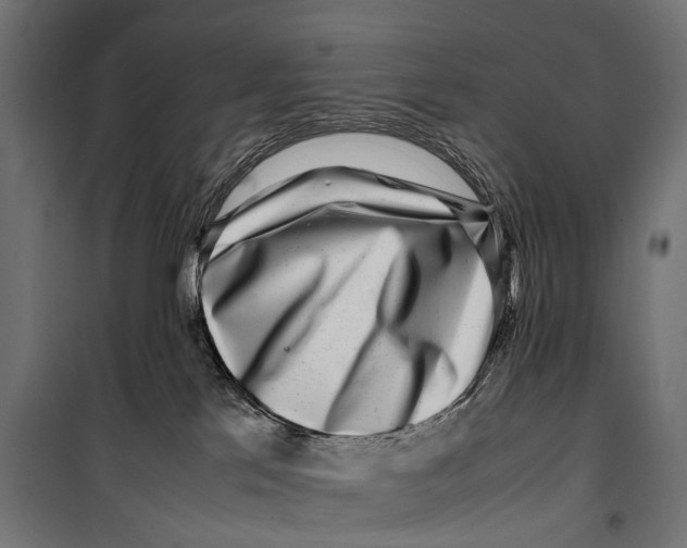 X0000099940041200806201131