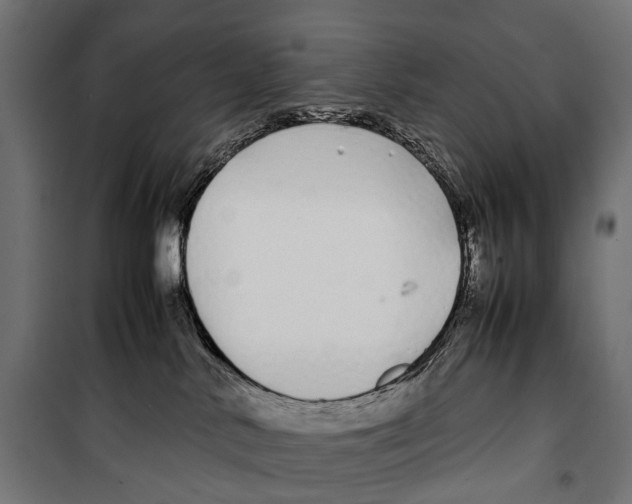 X0000099940042200806201131