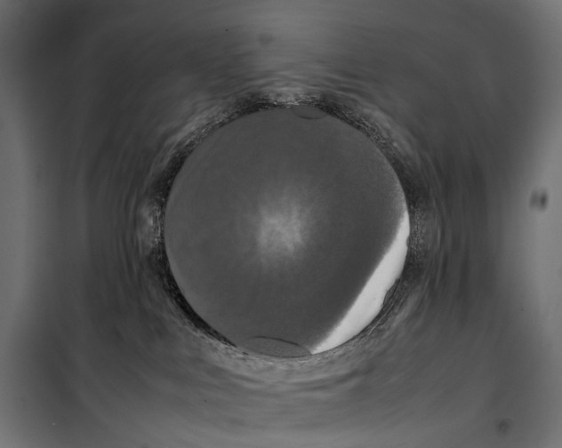 X0000099940043200806201131
