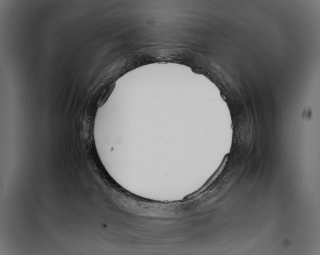 X0000099940044200806201131